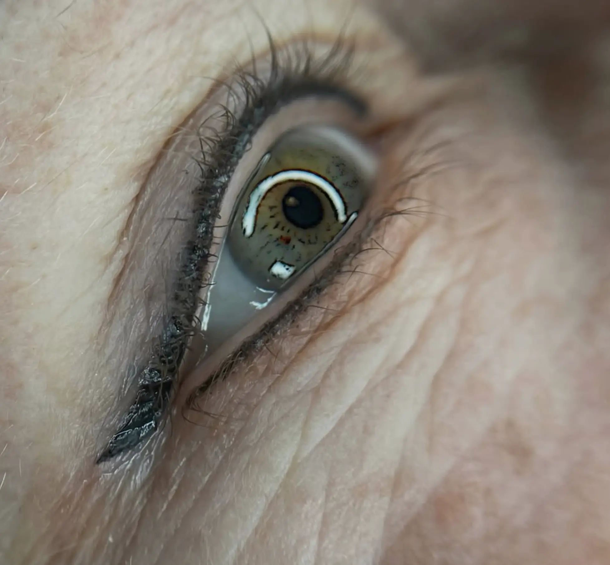 Permanent Makeup Training